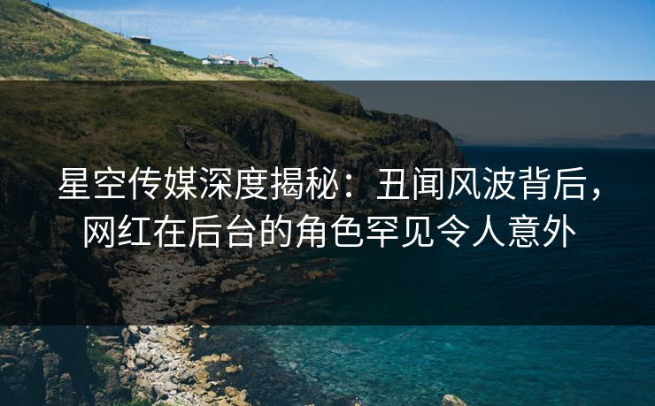 星空传媒深度揭秘：丑闻风波背后，网红在后台的角色罕见令人意外
