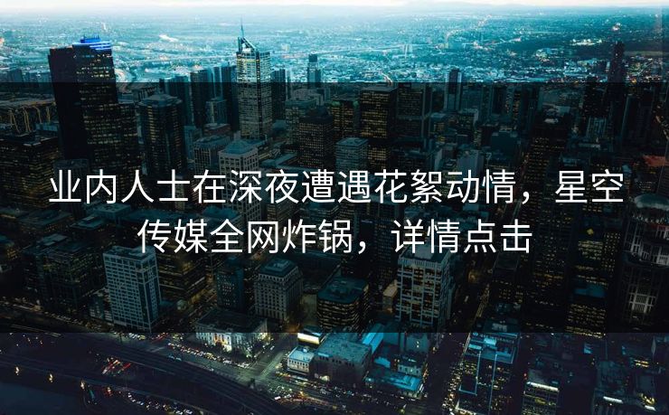 业内人士在深夜遭遇花絮动情，星空传媒全网炸锅，详情点击