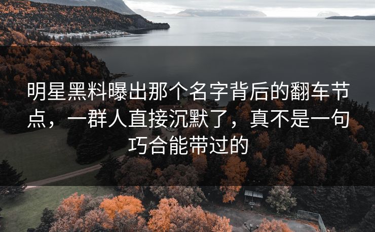 明星黑料曝出那个名字背后的翻车节点，一群人直接沉默了，真不是一句巧合能带过的